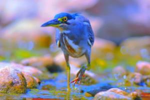 亚马尔、拉什福德闪耀友谊赛，巴萨7-3大胜首尔FC，巴萨对皇家马德里首发