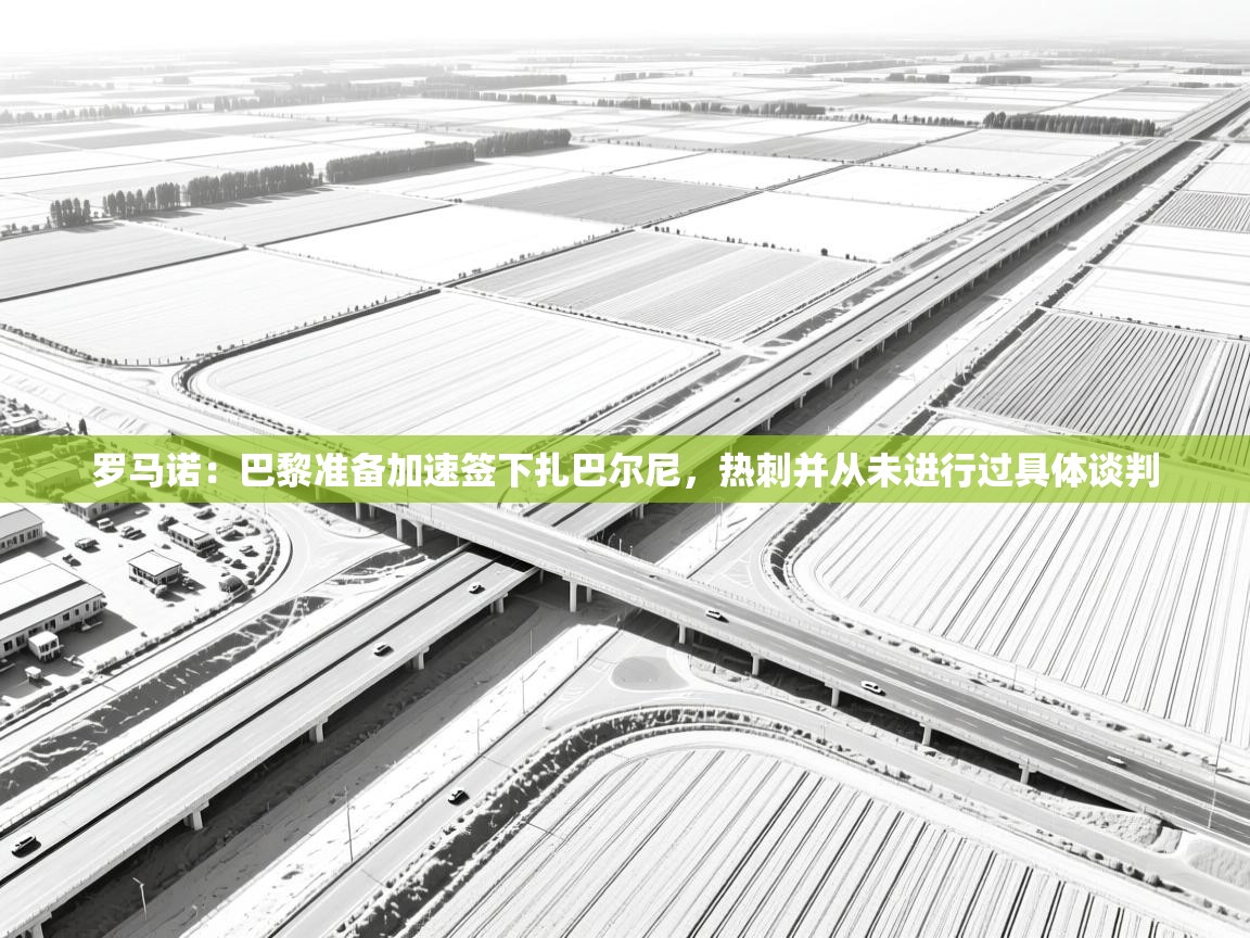 罗马诺:巴黎准备加速签下扎巴尔尼,热刺并从未进行过具体谈判 第1张